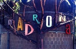 Madrona sign